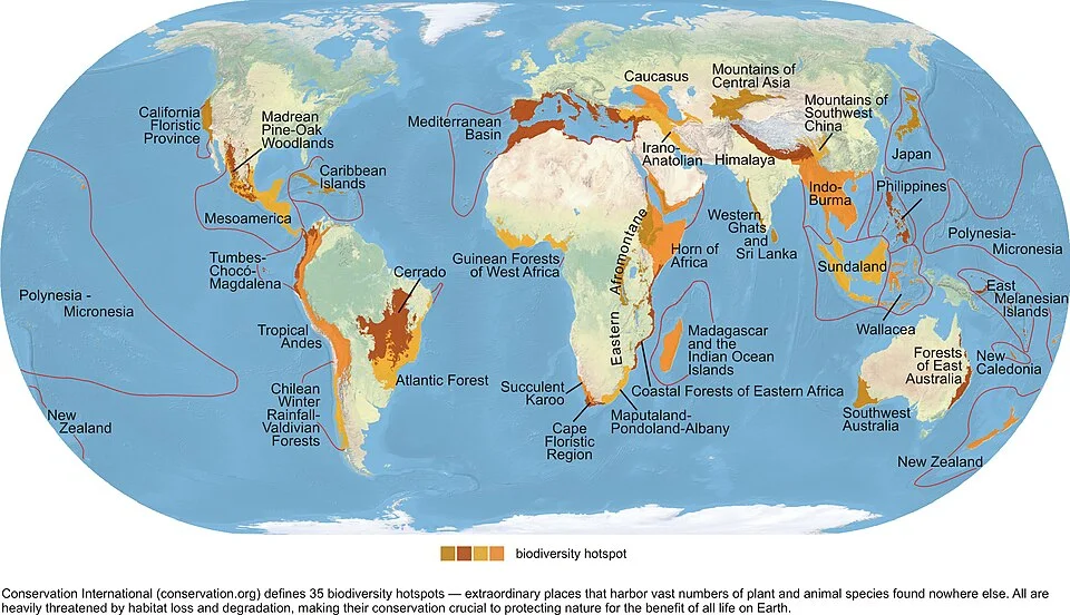 Global biodiversity hotspot map; the supplied description reflects an earlier 35-hotspot classification.