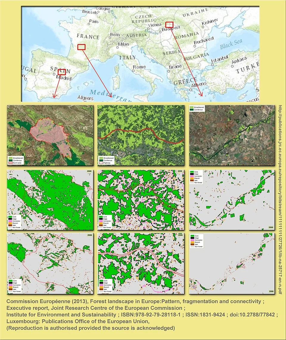 European forest-fragmentation examples involving fire, a highway and riparian clearance; source: Estreguil et al., European Commission JRC (2013).