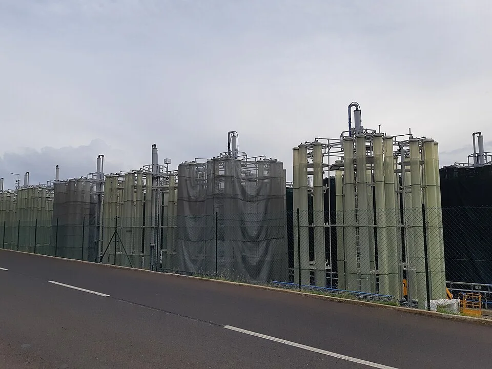 Seaweed biofuel project in Porto Santo, Portugal: a comparative example of marine biomass use.