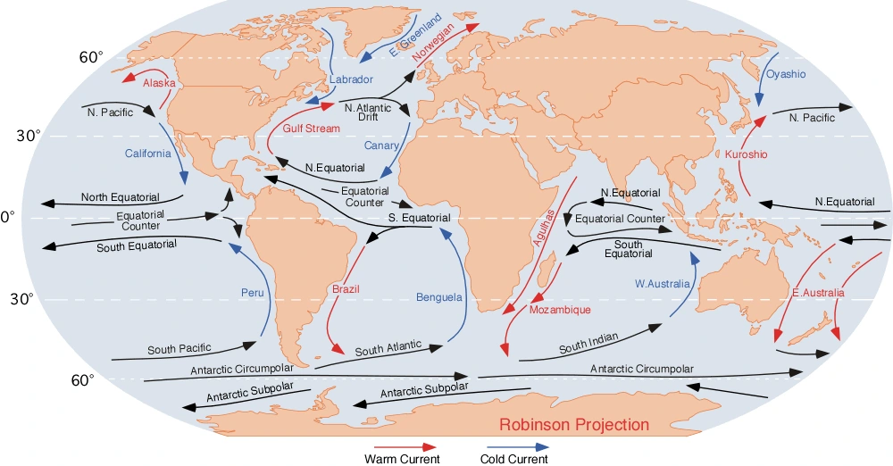 Global ocean currents: compare warm and cold current pathways and major gyres. Arrow directions and legend matter; local and seasonal currents can differ.