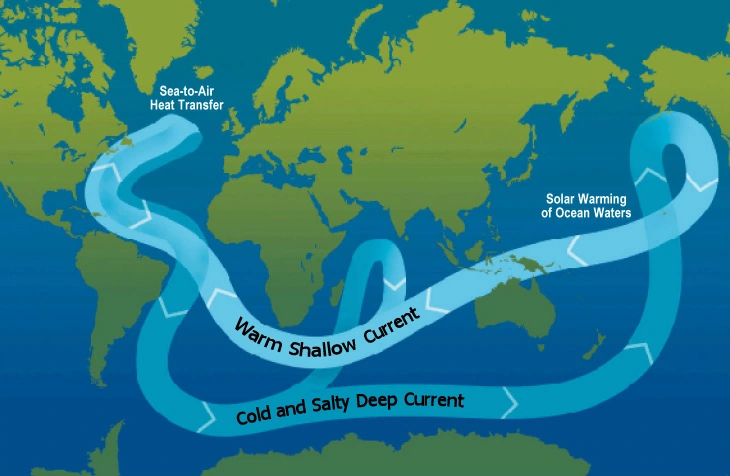 Global overturning circulation: distinguish surface and deep return flow. This conveyor pathway is a simplified model, not an exact current-speed map.