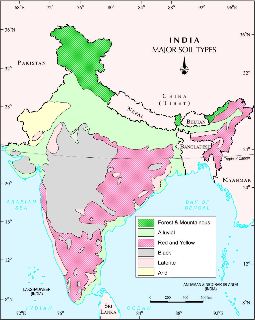 Major soil groups of India: NCERT reference map via NROER. Compare alluvial, black, red, lateritic and desert soils through the legend; local variation is finer than this national map.