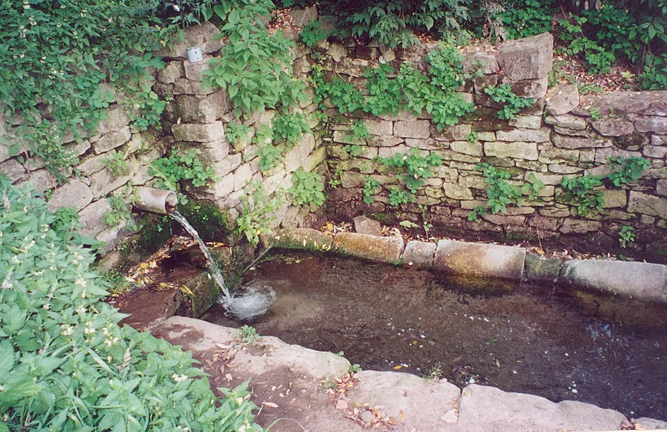 A described spring-fed water source in Dzyhivka, Ukraine: a comparative example of groundwater discharge.