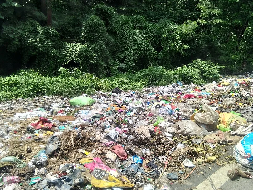Municipal solid waste dumped beside a forested area, according to the supplied metadata.