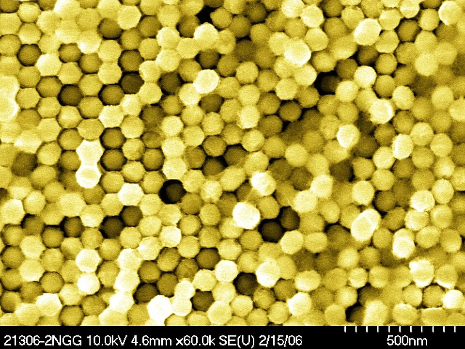 Top-view scanning electron micrograph of a gold nanowire array after removal of its hexagonal template, according to the metadata.