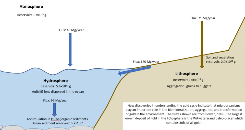 Gold-cycle illustration highlighting microbial interactions with non-living environmental materials.