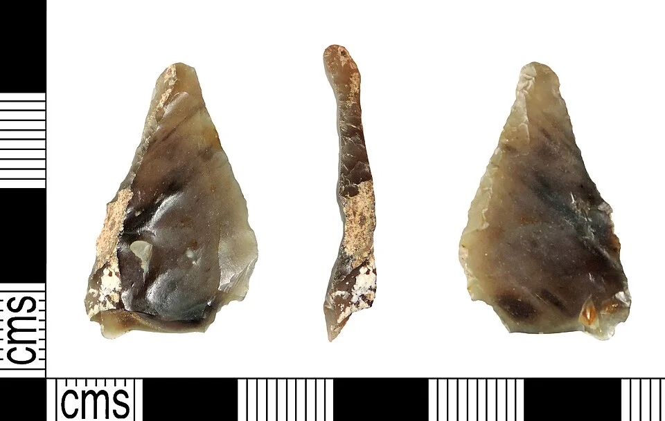 Flint implement catalogued as a microlith of possible Mesolithic date; comparative illustration, not Indian archaeological evidence.
