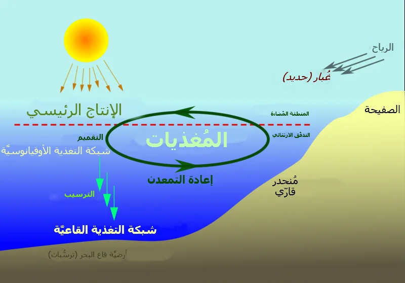 Marine nutrient cycling: an illustrative diagram described in the source metadata.