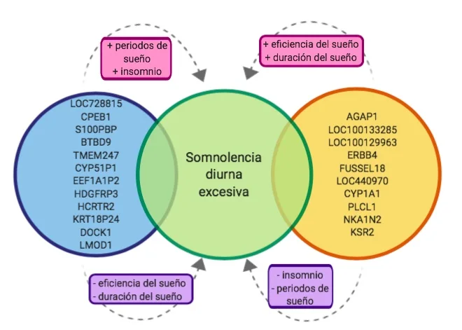 Illustrative grouping of genes associated with daytime sleepiness by sleep propensity and sleep fragmentation.