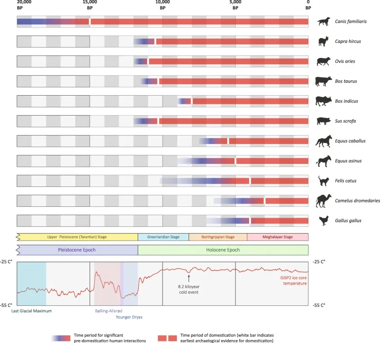 Comparative timeline of selected animal domestication processes, with climatic context.