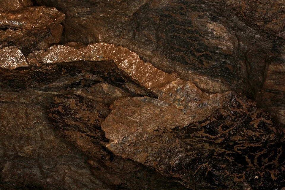 Chert compression fold: an illustrative example of folded rock layers.