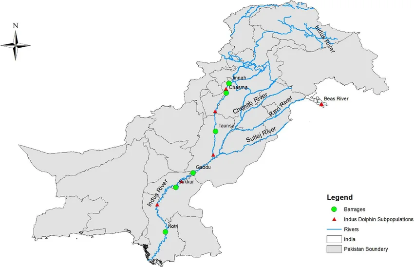 Indus river dolphin subpopulations: an ecological perspective on the transboundary Indus system.