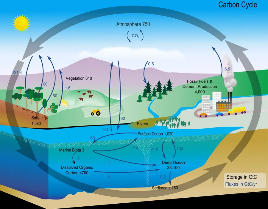 NASA carbon-cycle schematic showing carbon stores and transfers; historical diagram values are not current estimates.