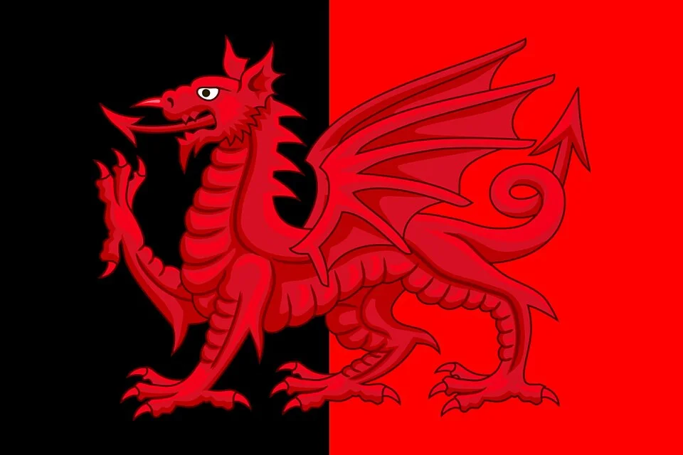 Illustrative flag attributed to Firuz Shah Tughlaq in the supplied metadata; not an authenticated surviving banner.