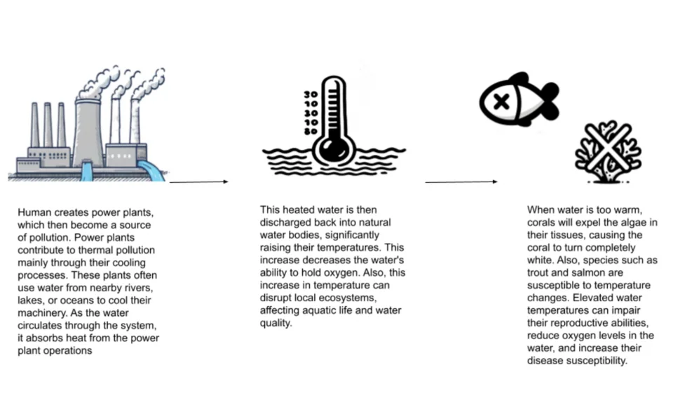 Diagram illustrating the causes and effects of thermal pollution.