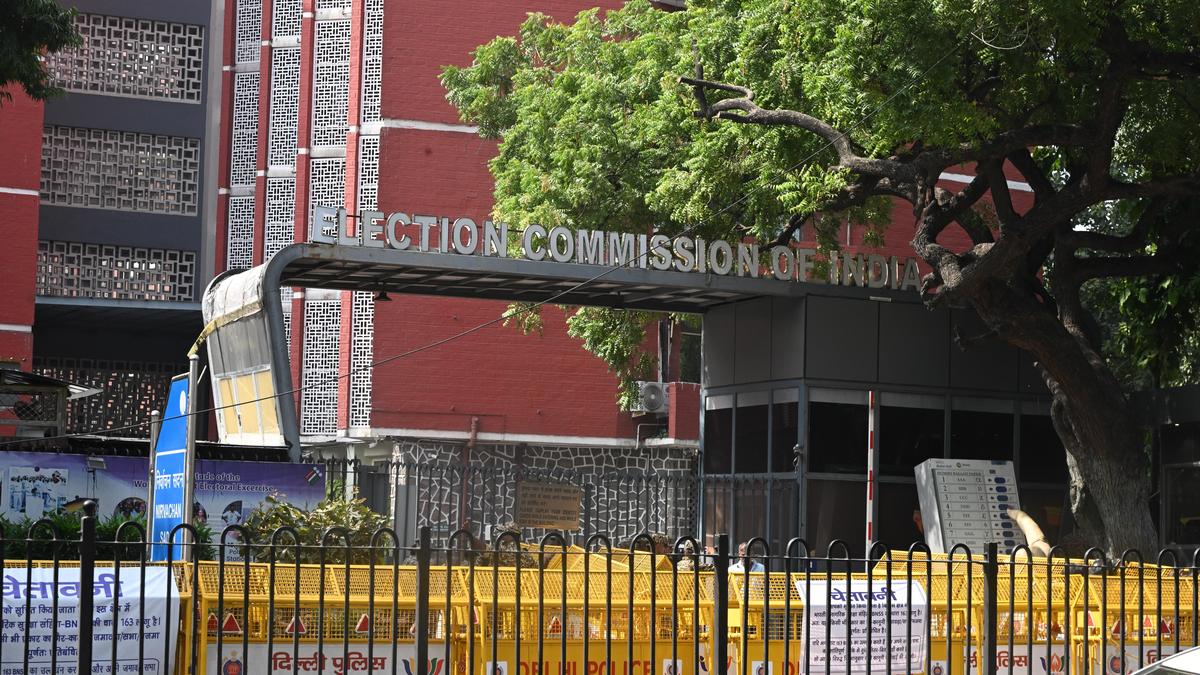 Photo from the source report: CEC and EC Immunity: Section 16, Electoral Independence and Constitutional Accountability